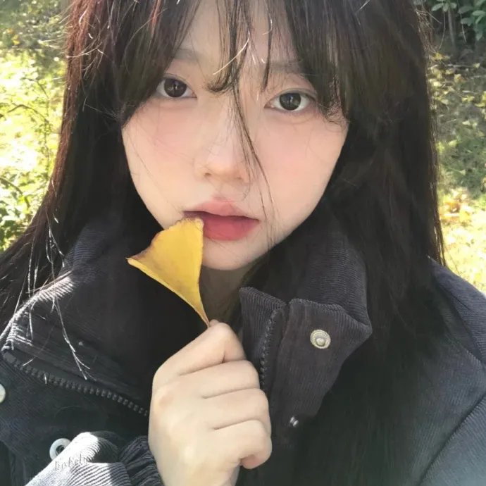 刀客家族的女人
