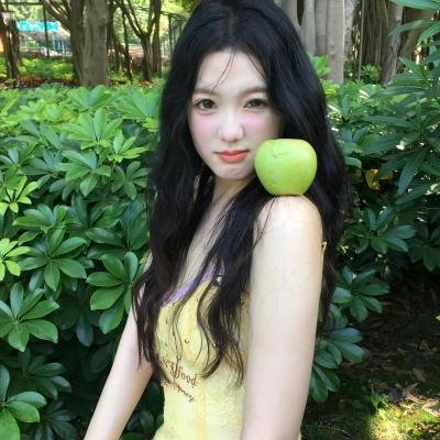 夏日之书2024